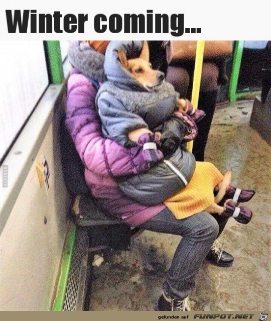 Kalter Winter Kalter Winter