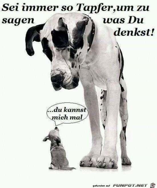 Gewagt Gewagt