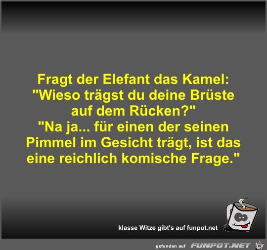 Fragt der Elefant das Kamel