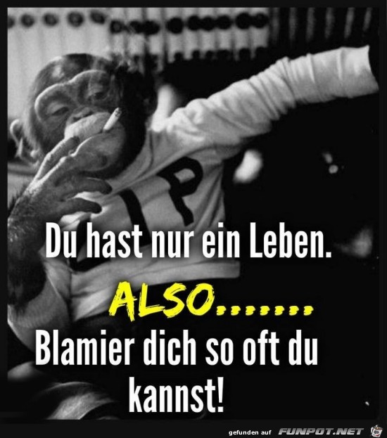 du hast nur ein Leben..... du hast nur ein Leben.....