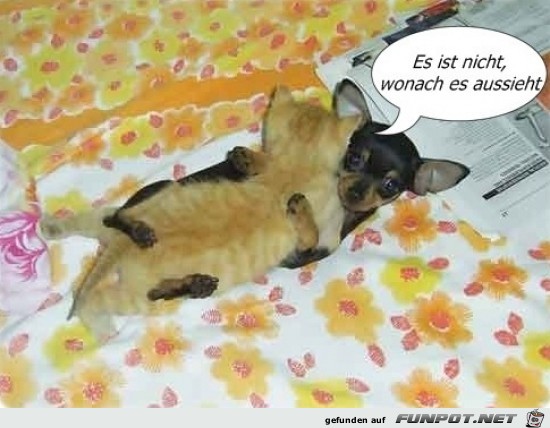 Es ist anders Es ist anders