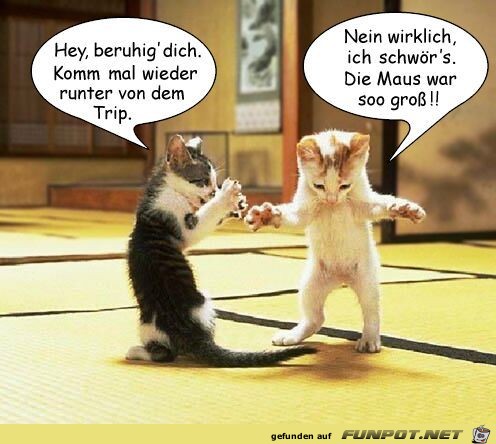 Beruhige dich Beruhige dich