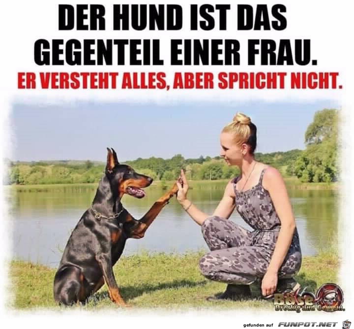 Der Hund