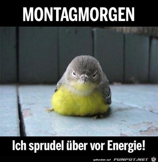 Montagmorgen