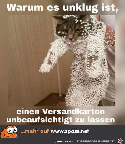 warum es unklug ist