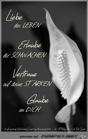 Liebe dein Leben