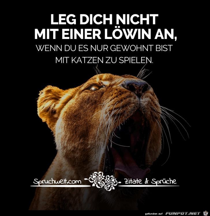 leg dich nicht mit einer loewin an