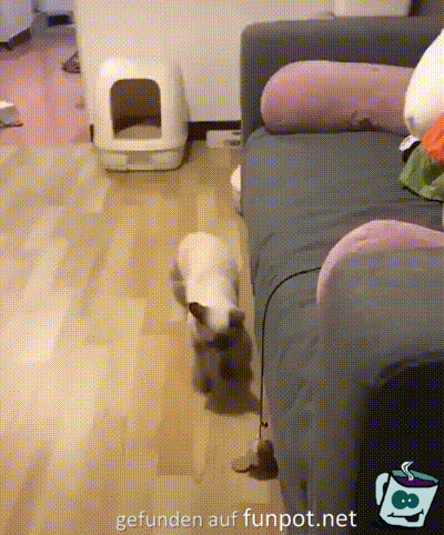 Ball verfängt sich Ball verfängt sich