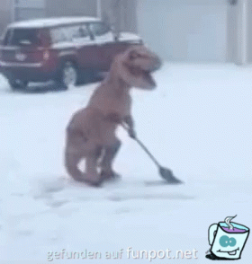 Dino im Winter Dino im Winter