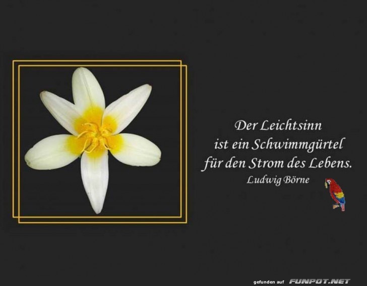 Schwimmguertel Schwimmguertel
