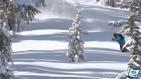 Snowboarder Snowboarder