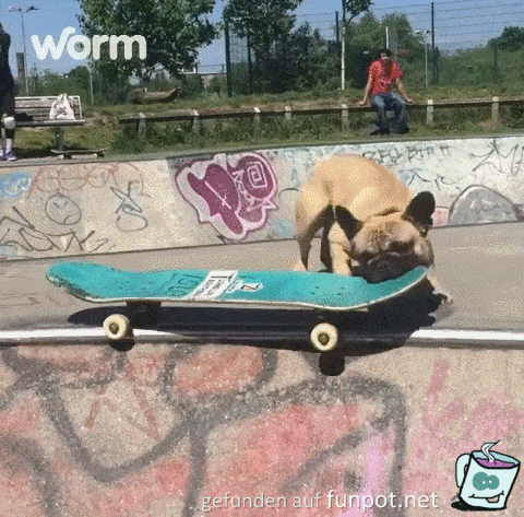 Tschüß muß los Tschüß muß los