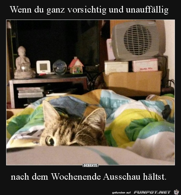 wenn du ganz vorsichtig und unauffllig.....