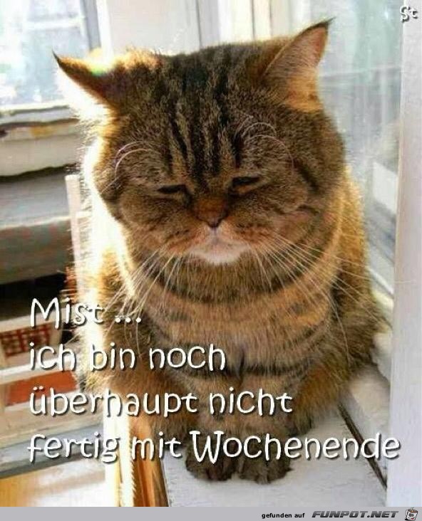 Noch nicht fertig mit Wochenende Noch nicht fertig mit Wochenende