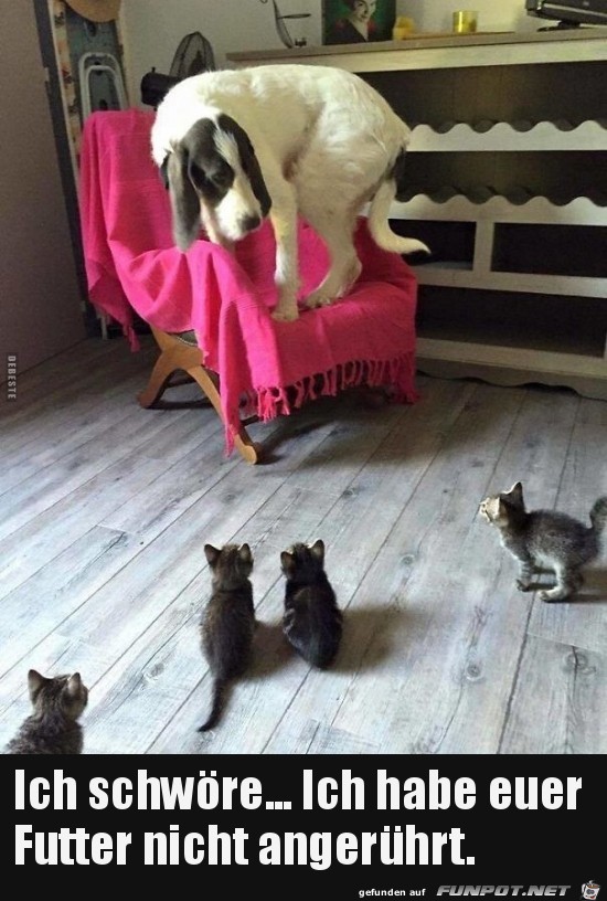 ich schwöre...... ich schwöre......