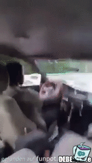 Erst mal den Airbag wegschubsen Erst mal den Airbag wegschubsen