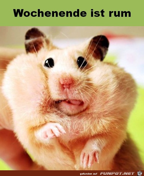 Wochenende ist rum Wochenende ist rum