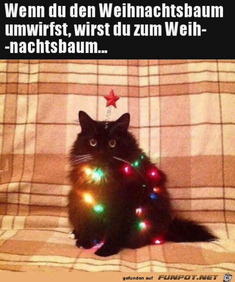 Weihnachtsbaum