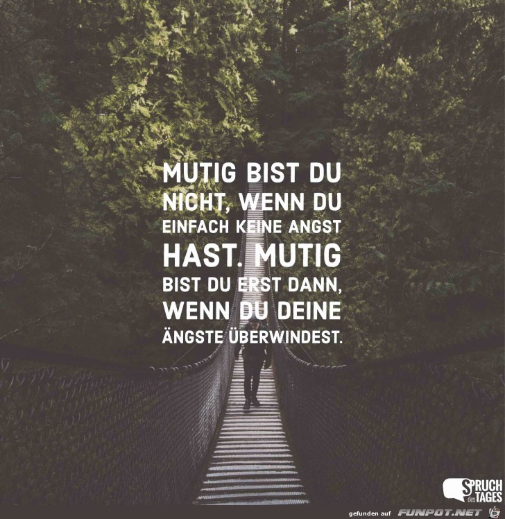 mutig-bist-du-nicht-wenn-du-einfach-keine-angst-hast- mutig-bist-du-nicht-wenn-du-einfach-keine-angst-hast-