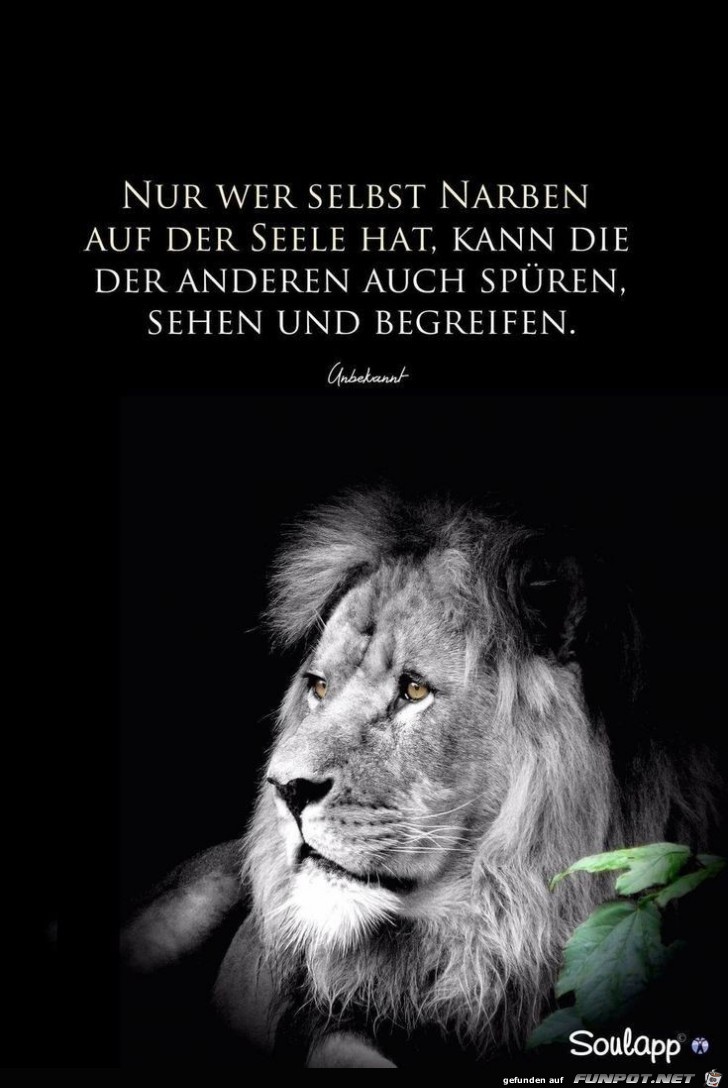 nur wer selbst narben