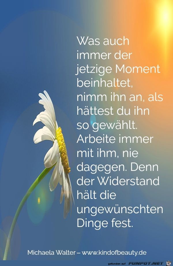 was auch immer der jetzige Moment was auch immer der jetzige Moment