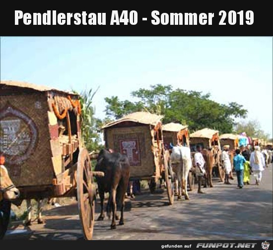 Pendlerstau A40