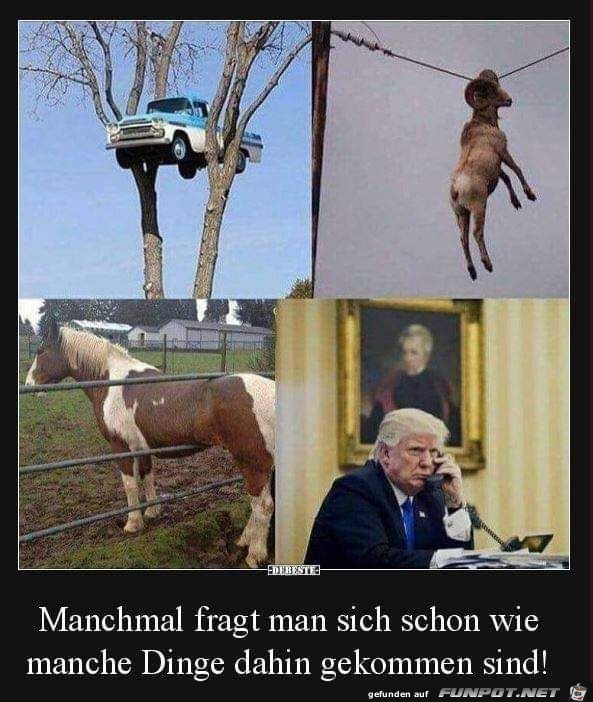 Frage Frage