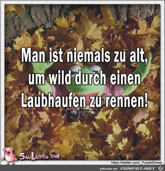 Man-ist-niemals-zu-alt