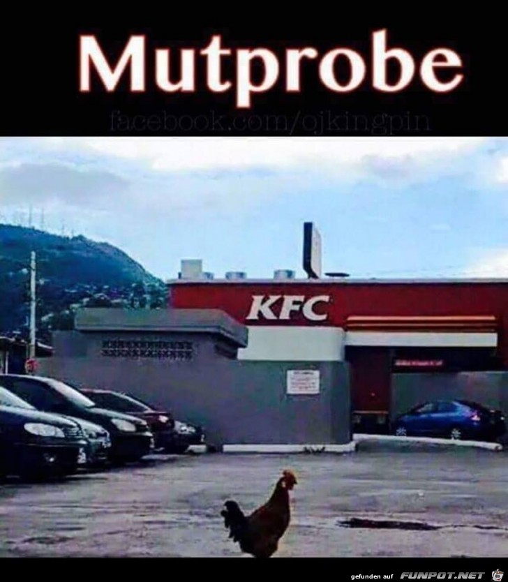 Mutprobe