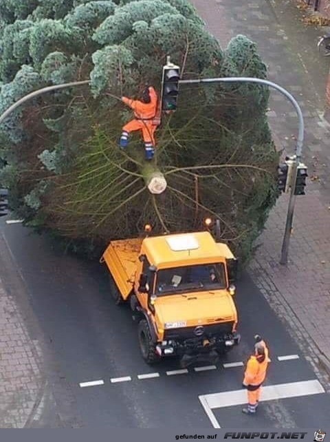 Weihnachtsbaum zu groß Weihnachtsbaum zu groß
