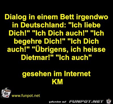 Dialog in einem Bett irgendwo in Deutschland: Dialog in einem Bett irgendwo in Deutschland:
