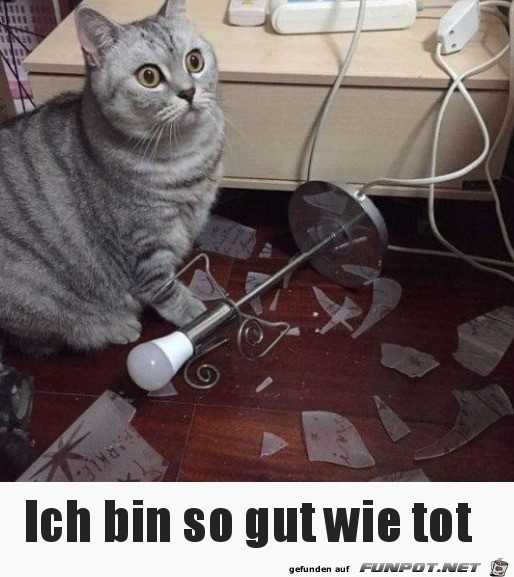 Das ist blöd Das ist blöd