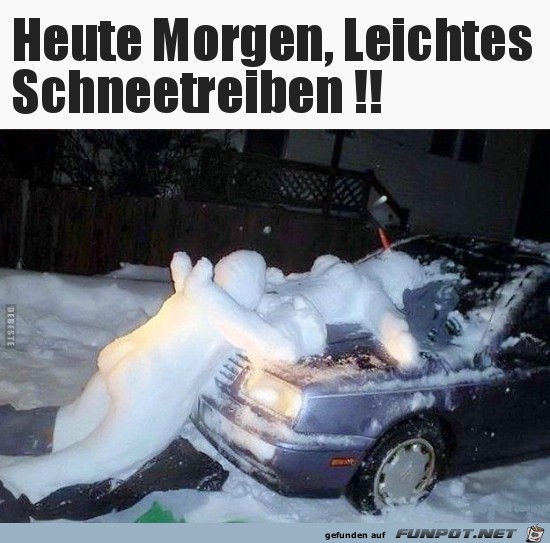 Schneetreiben Schneetreiben