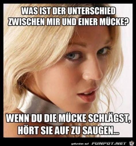 witzige frivole Bilder aus verschiedenen Blogs. Nicht...