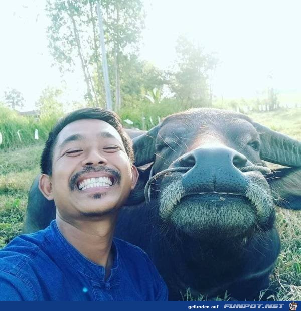 Smile Smile