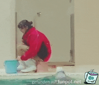 Robbe gut trainiert Robbe gut trainiert