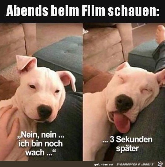 Immer so