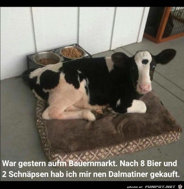 Daimler Daimler