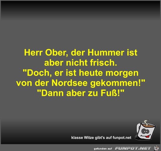 Herr Ober, der Hummer ist aber nicht frisch