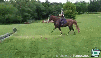 Pferd will nicht springen