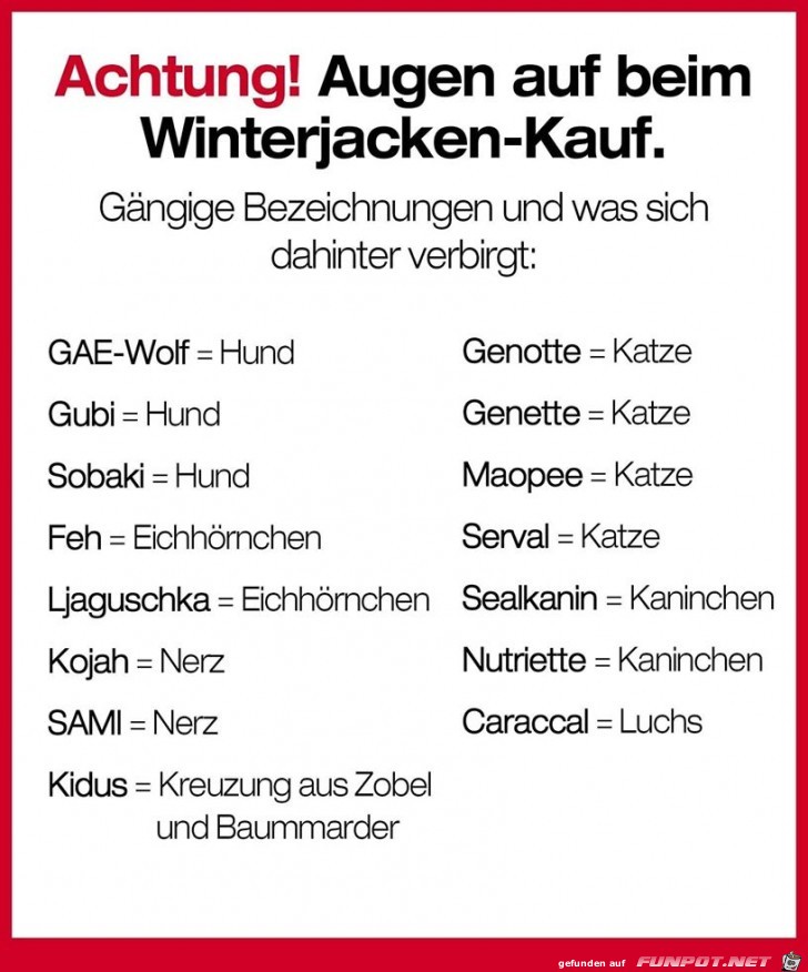 Augen auf beim Winterjacken Kauf Augen auf beim Winterjacken Kauf