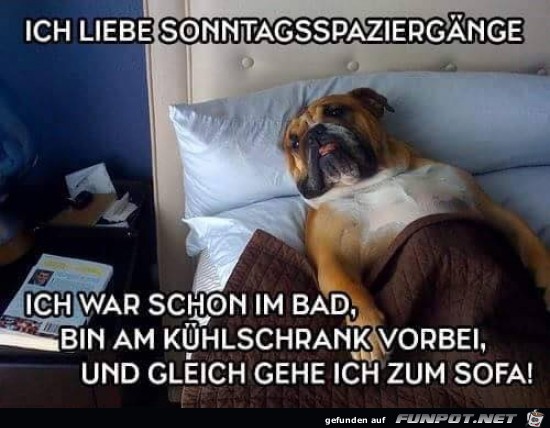ich liebe Sonntagsspaziergänge..... ich liebe Sonntagsspaziergänge.....