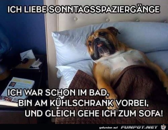 ich liebe Sonntagsspaziergnge.....