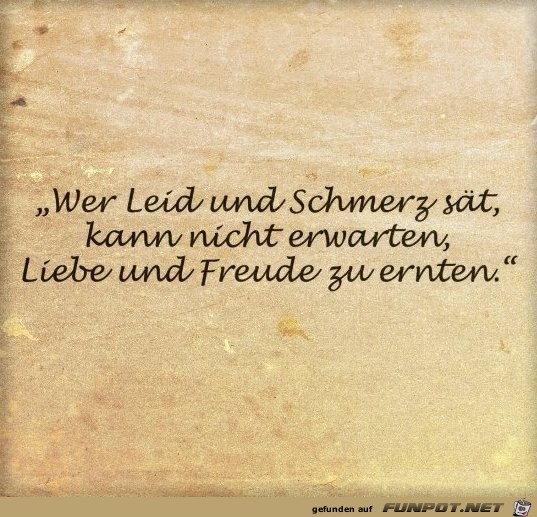 Leid und Scmerz Leid und Scmerz