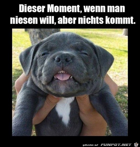 dieser Moment,.