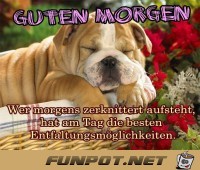 Guten Morgen Guten Morgen