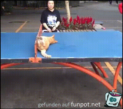 Fang den Ball Fang den Ball