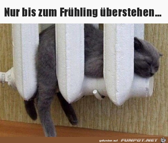 Nur bis zum Frühling Nur bis zum Frühling