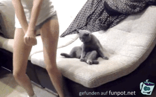 Was tust du Was tust du