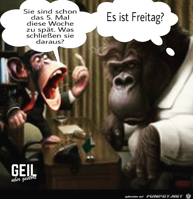 zu spaet zu spaet